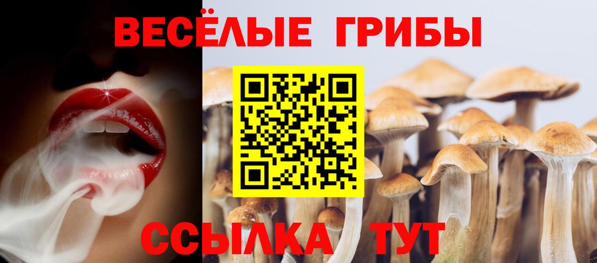 Псилоцибиновые грибы GOLDEN TEACHER  Вход с VPN  где найти наркотики  Городец 